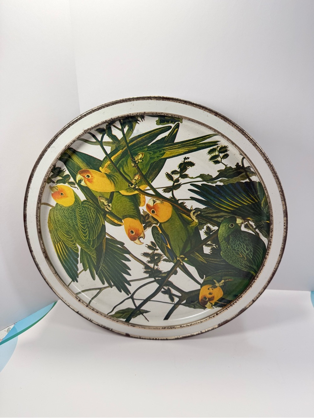 Vintage Sunshine Biscuits Carolina Parakeets Round Tin Storage-Distressed